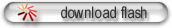 download flash